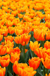 Similar image 6082477