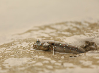 Similar image 6082483