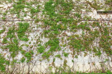 Similar image 6082491