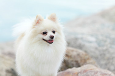 Similar image 6082527