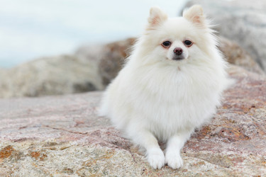 Similar image 6082531