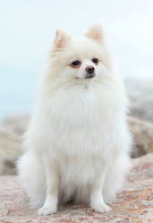 Similar image 6082541