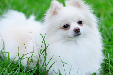 Similar image 6082566