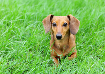 Similar image 6082568