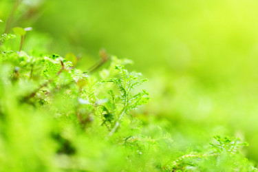 Similar image 6082617