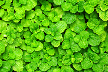 Similar image 6082618