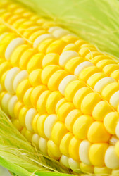 Similar image 6082649