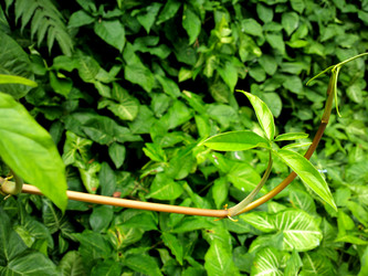 Similar image 6082660