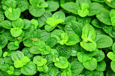 Similar image 6082685