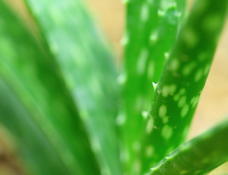 Similar image 6082698