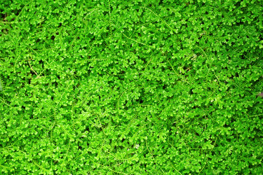 Similar image 6082720