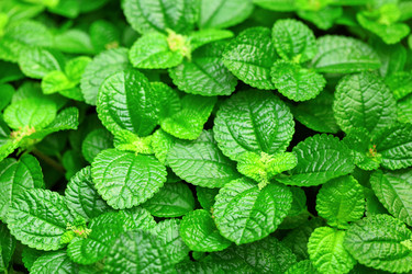 Similar image 6082723