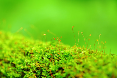 Similar image 6082730