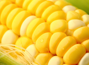 Similar image 6082745