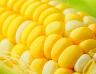 Similar image 6082746