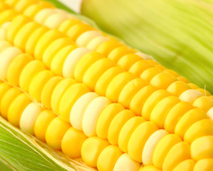 Similar image 6082747