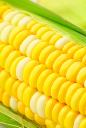 Similar image 6082749