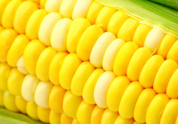 Similar image 6082752