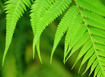 Similar image 6082771