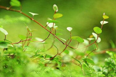 Similar image 6082778