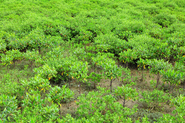 Similar image 6082804