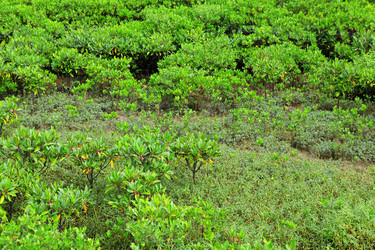 Similar image 6082817