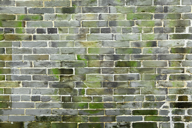 Similar image 6082836