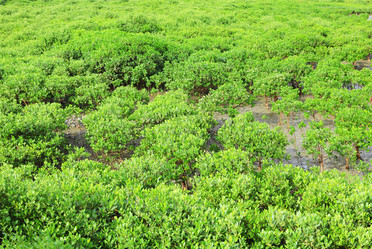 Similar image 6082863