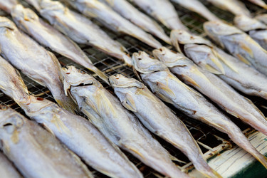 Similar image 6082867