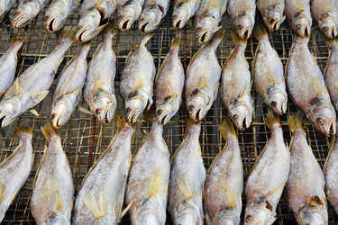 Similar image 6082870