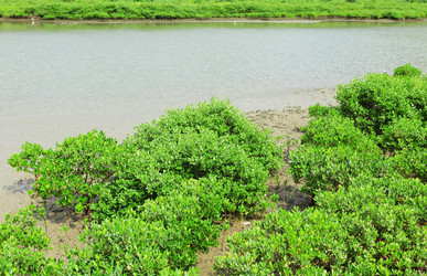 Similar image 6082871