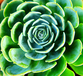 Similar image 6082882