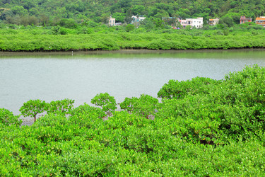 Similar image 6082900