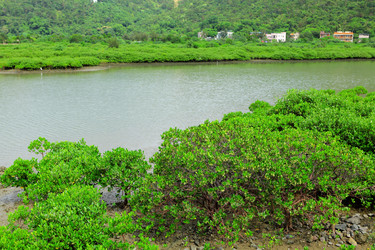 Similar image 6082901