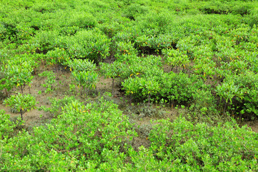 Similar image 6082918