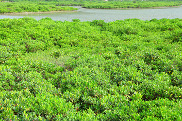 Similar image 6082925