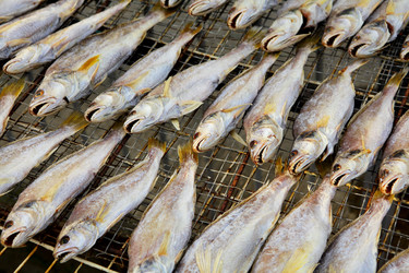 Similar image 6082943