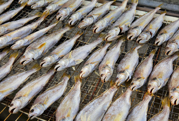 Similar image 6082944