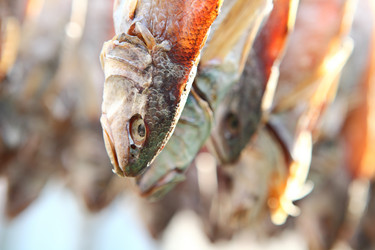 Similar image 6082952