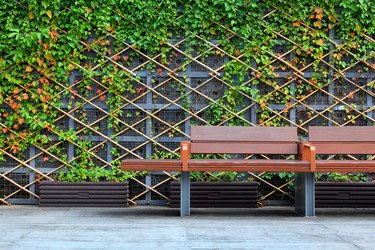 Similar image 6083291