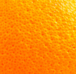 Similar image 6083313