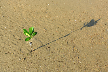 Similar image 6083335