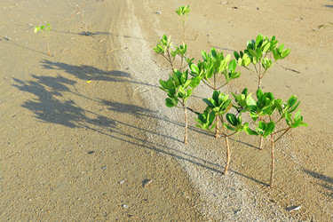 Similar image 6083337