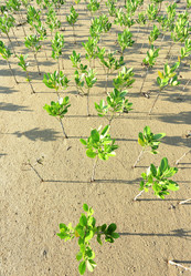 Similar image 6083351