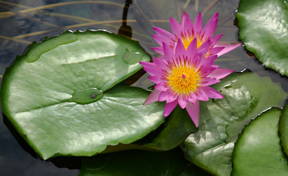 Similar image 6083405