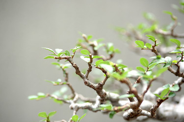 Similar image 6083418