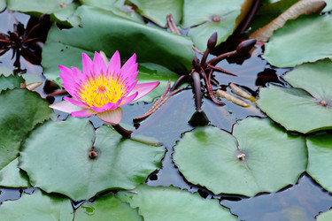 Similar image 6083426