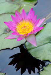 Similar image 6083427