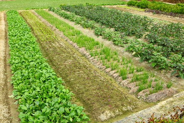 Similar image 6083442