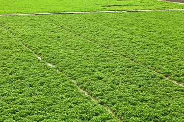 Similar image 6083455